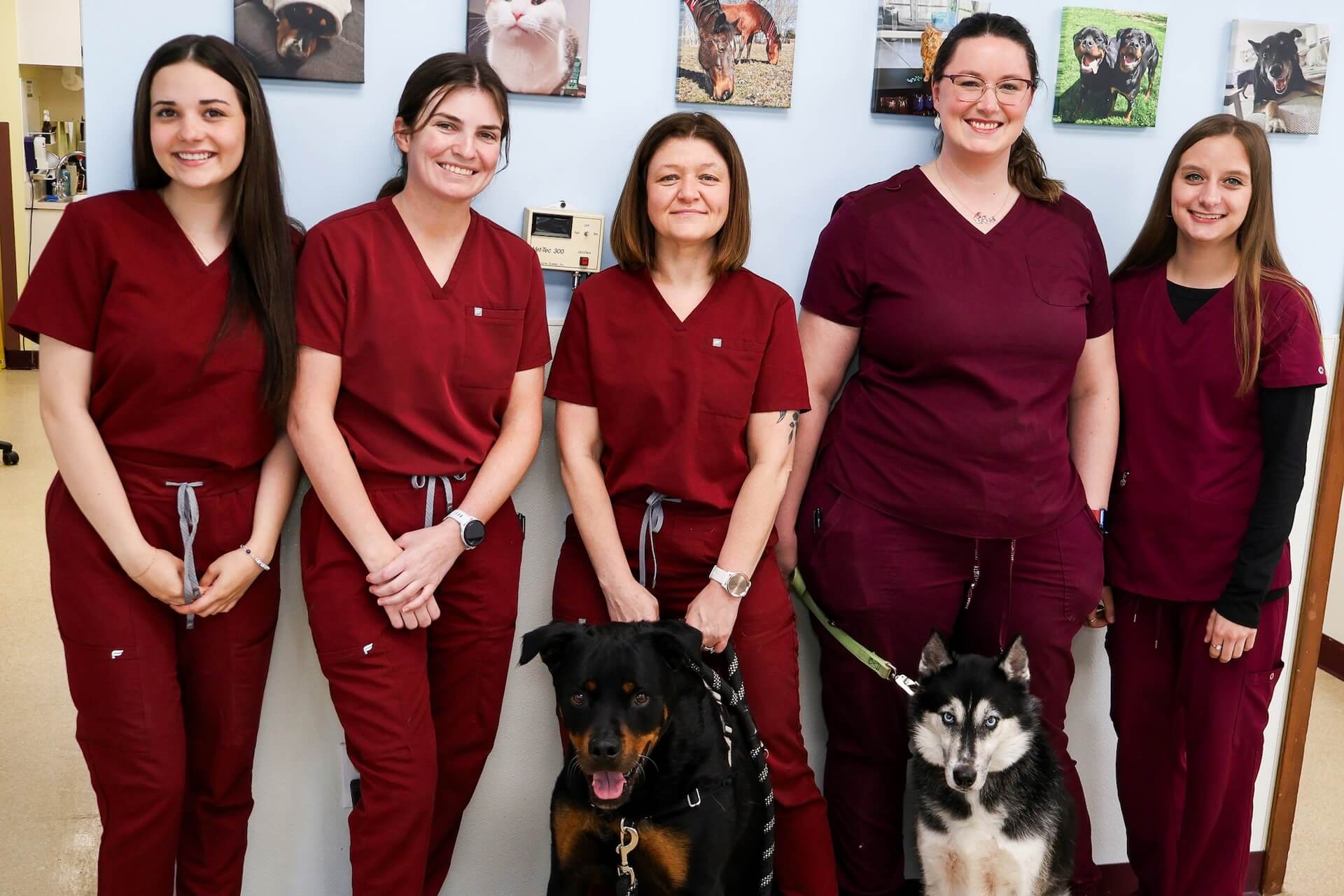 Team at the Anderson Family Animal Hospital